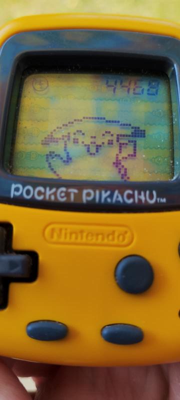 Pikachu is absolutely delighted with me