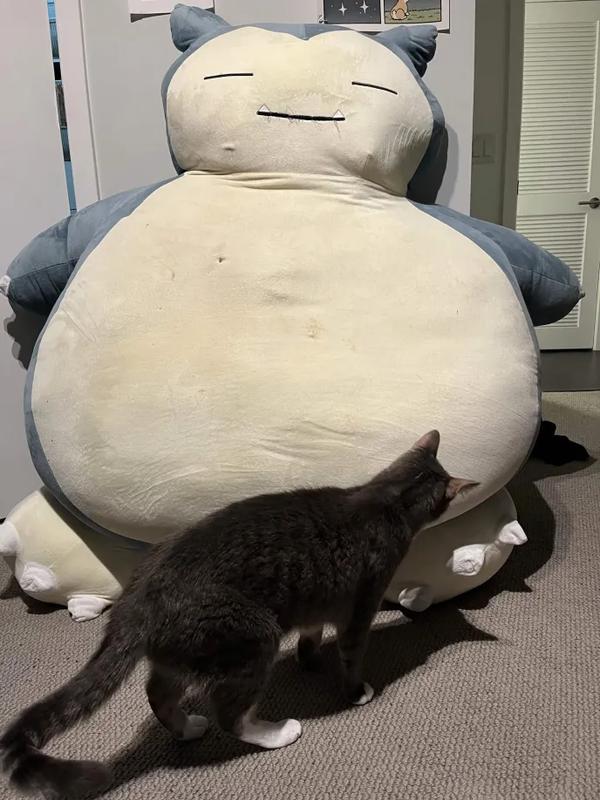 Tiff’s giant Snorlax plush